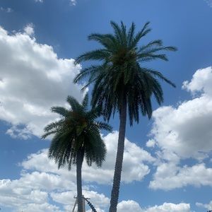 Meet your Posher, Bella